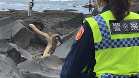 石門,海岸,梅花鹿,大浪,遊客,飼養