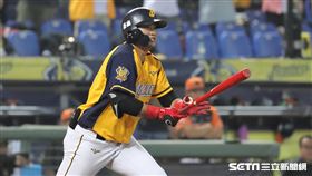▲中信兄弟一壘手蘇緯達。（圖／記者劉彥池攝影）