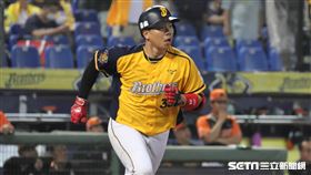 ▲中信兄弟外野手詹子賢。（圖／記者劉彥池攝影）