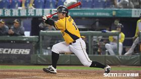▲中信兄弟指定打擊周思齊。（圖／記者劉彥池攝影）