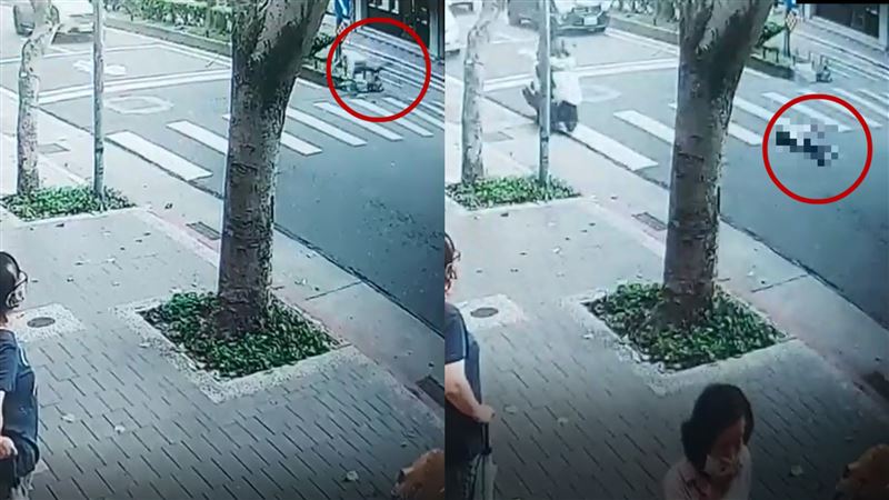 他偷丟垃圾躲稽查遭撞死…驚悚畫面曝