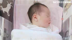 一名星宇航空鐵粉因為太愛星宇，生了小孩二話不說，直接命名為「星宇」。（圖／讀者授權提供）