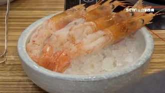 冷凍久蝦肉散？怨天使紅蝦口感差引戰