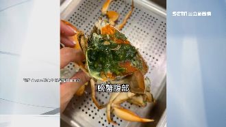 墨綠色蟹膏能吃嗎？海產專家出面解答