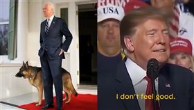 拜登有望帶狗狗入主白宮，嗆川普「我覺得散步很假掰」。（圖／翻攝自推特）