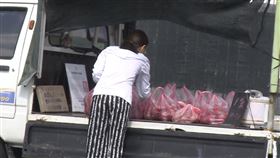 紅龍果　火龍果　（圖／記者王浩原拍攝）