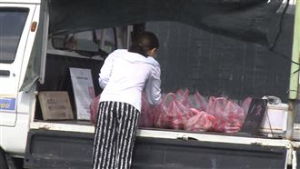 紅龍果創10年最低價　果農忍痛廢園