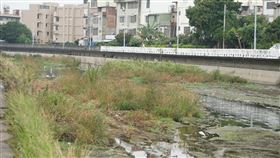豆子埔溪缺水　新竹縣府鑿深井挖蓄水深槽新竹縣竹北市豆子埔溪近年每逢枯水期常發生魚群暴斃，縣府除新鑿2口深井外，也已挖2個蓄水深槽，盼能改善溪水量、保護魚群。（新竹縣政府提供）中央社記者郭宣(文三)傳真　109年11月9日