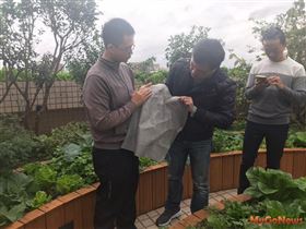 2020年度北市府綠屋頂及綠能設施補助結果出爐！（圖／台北市政府）