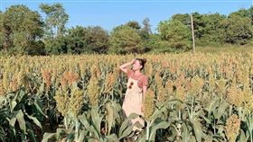 名家專用／台灣旅行趣（勿用）