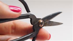 剪刀（圖／翻攝自Pixabay）