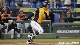 ▲中信兄弟外野手陳子豪。（圖／記者劉彥池攝影）