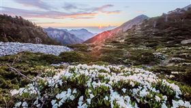 （圖／Tripbaa趣吧！達人帶路）