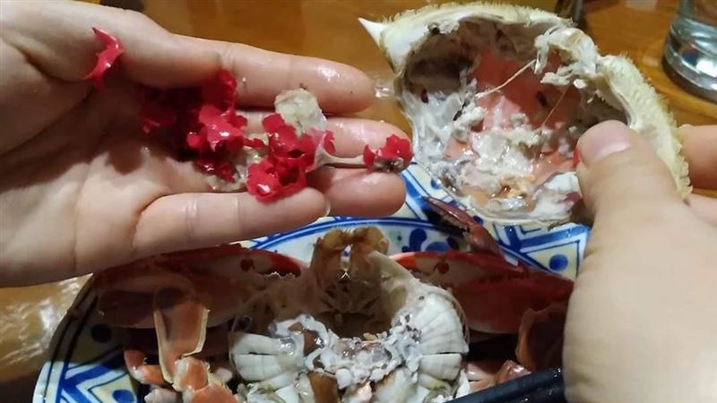 嗑螃蟹吃到紅碎片　他：螃蟹真塑膠了