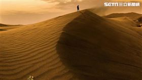 頂頭額沙洲。（圖／shanepic.tw IG授權提供）