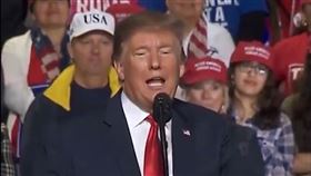 拜登有望帶狗狗入主白宮，嗆川普「我覺得散步很假掰」。（圖／翻攝自推特）