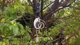 驚見家鑰匙掛在樹上　他一問媽媽傻眼（圖／翻攝自爆廢公社二館臉書）