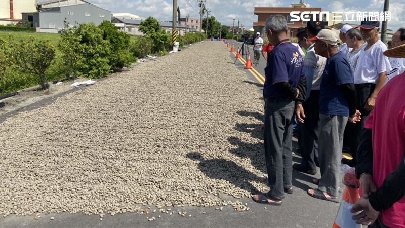 虎尾公所超佛系！供路權讓農民曬花生