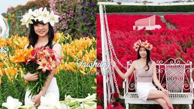 百合花季開跑　銅板價賞花趣！