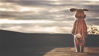 生肖兔明年凶星環繞　命理師5大叮嚀