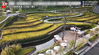 親子公園竟有梯田　遊樂場一天玩不夠