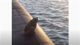 （圖／翻攝自kamchat100　YouTube）