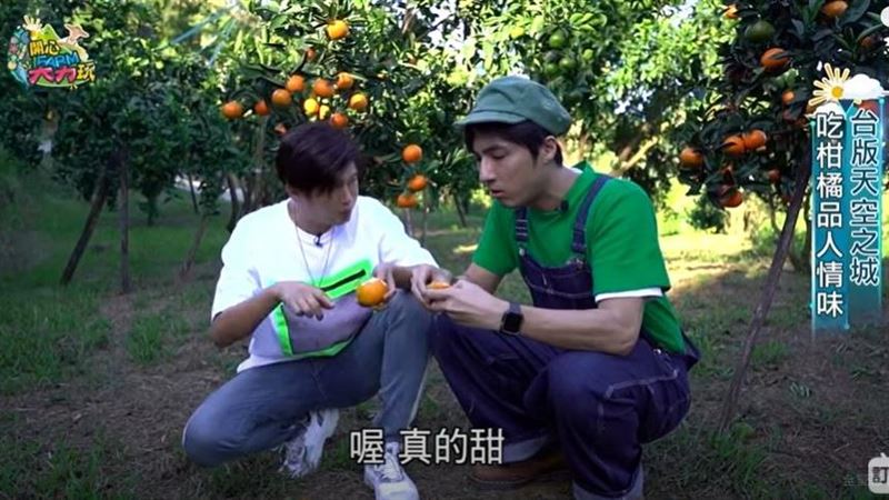 螞蟻人的最愛「翠玉爆漿包」！