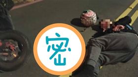 貓頭鷹，板橋，堤外，新北，摔車