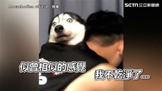 各種驚恐表情包　戲精二哈笑翻網