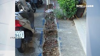 竹縣道坑洞未回填　婦慘摔趴地頸椎傷