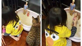 寵物,貓咪,貓砂,女孩,人偶（組合圖／翻攝自微博）