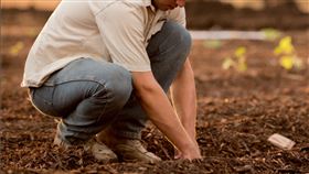 挖土，種菜，農夫，田，農地（示意圖／翻攝自unsplash）
