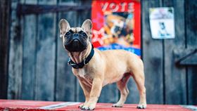 名家專用／草根影響力新視野（勿用）