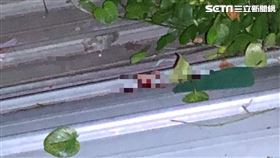 樂華夜市,墜樓,遮雨棚,永和,翻攝畫面