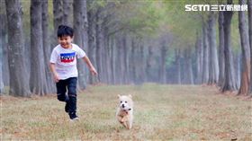 秋日限定！千棵落羽松搭配草原秘境　親子、毛孩放風新景點（圖／麗寶樂園提供）