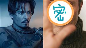 強尼戴普,怪獸與牠們的產地,葛林戴華德,邁斯米克森,Mads Mikkelsen