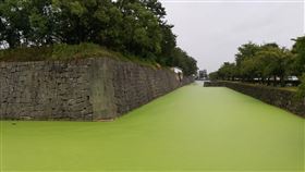 日本京都,二條城,護城河（圖／翻攝自永太郎（ながたろう）推特）