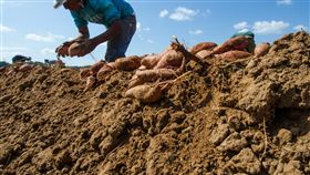 農田 土壤
https://www.flickr.com/photos/usdagov/10547128075/in/photolist-h51MHM-h51uqG-h18ydP-9EAdBz-TrB4Qi-A4S57u-8Q742M-WmNELB-gYEPSC-9eXKvh-egfuCZ-bGfaPg-h99RuL-D9scVG-9EA9hn-bcYWUR-VYWA6d-oAr8uE-28pdu