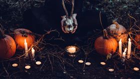 邪教,凶殺,恐怖