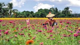 名家專用／台灣旅行趣（勿用）