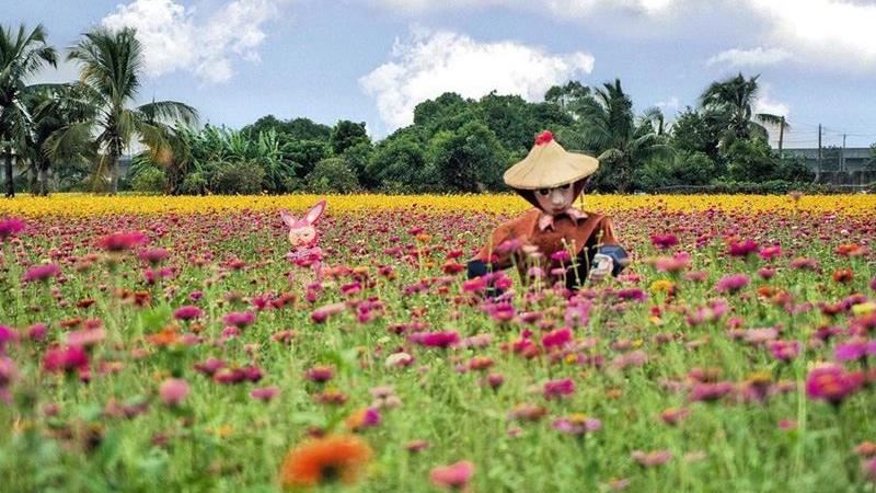 想徜徉花海的朋友　來到台南別錯過