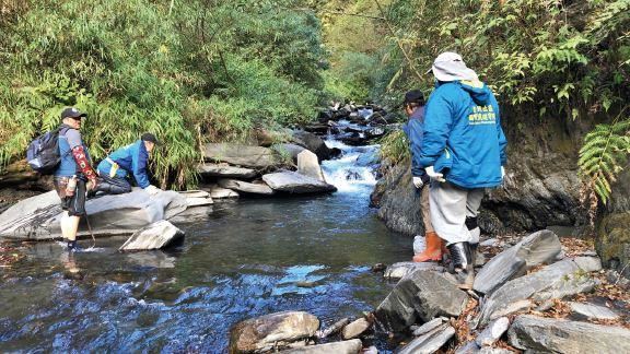 松茂部落 　秋日禮讚甜柿小旅行