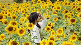 　名家專用／台灣旅行趣（勿用）
