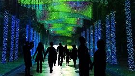 　名家專用／台灣旅行趣（勿用）
