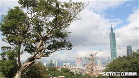 16:9
台北秘境／不爬象山也能登高望遠　藏身信義區的世外桃源
蔣渭水紀念廣場
圖／記者黃朝郁攝