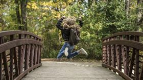 12月,發財,生肖,狗,馬,龍。（示意圖／翻攝自Pixabay）