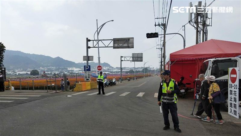 台中新社花海開跑　交通懶人包出爐了