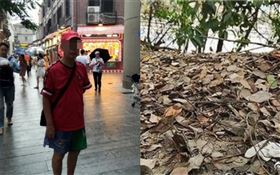 中國大陸85歲老翁郭貽燦於野外離世。（圖／翻攝自南方日報微博）