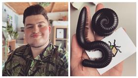 蜘蛛、千足蟲當寵物？他19歲月收20萬　竟全靠昆蟲致富(圖／翻攝自bugboxuk IG)