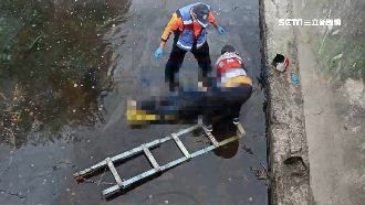 橋上擦撞　台南騎士噴飛4米大排不治